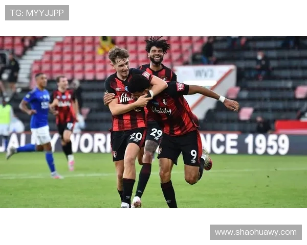 伯恩茅斯主场活力球场翻新扩建后容量有望提升至两万人 伯恩茅斯主场活力球场翻新扩建后容量有望提升至两万人