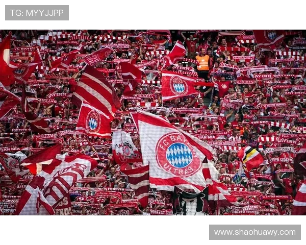 罗本晒安联球场自拍照激动回归球场粉丝欢呼期待他再度登场 罗本晒安联球场自拍照激动回归球场粉丝欢呼期待他再度登场